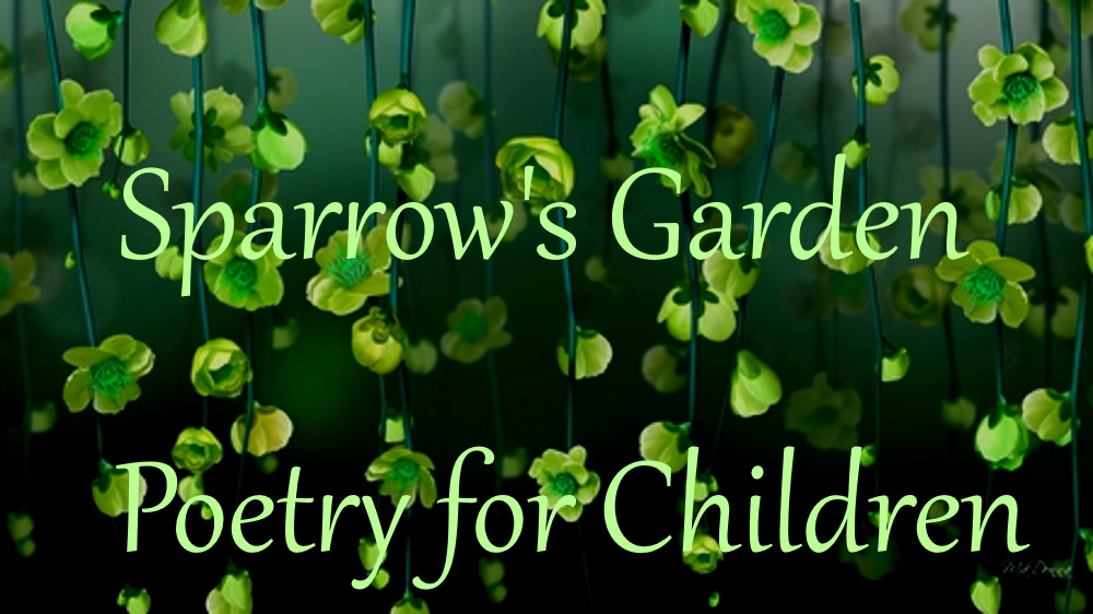 Sparrow's Garden